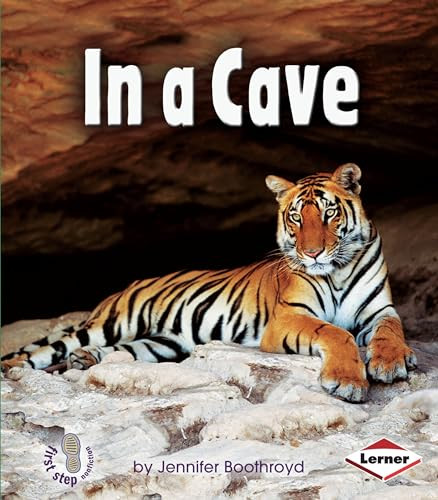 In a Cave by Jennifer Boothroyd, 9780822556626