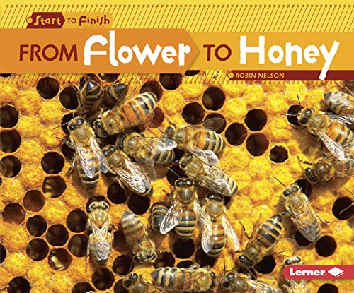 From Flower to Honey by Robin Nelson, 9780761385745
