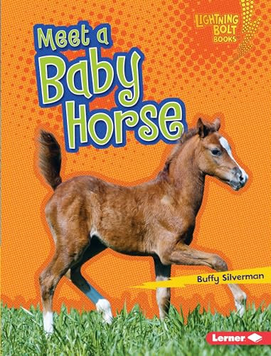 Meet a Baby Horse by Buffy Silverman, 9781512408010