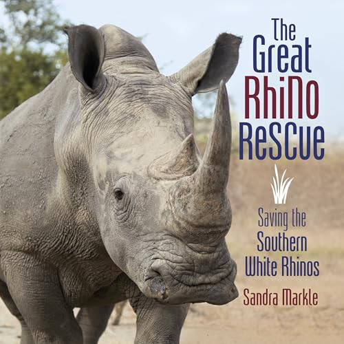 The Great Rhino Rescue (Saving the Southern White Rhinos) by Sandra Markle, 9781512444360