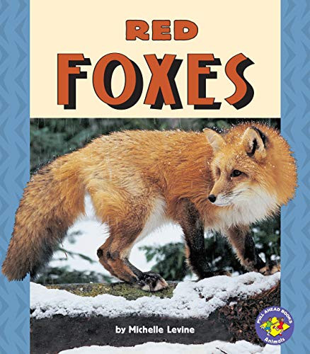 Red Foxes by Michelle Levine, 9780822598879