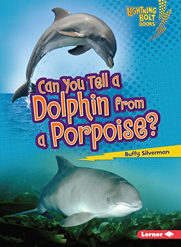 Can You Tell a Dolphin from a Porpoise? by Buffy Silverman, 9780761378488 Can You Tell a Dolphin from a Porpoise? by Buffy Silverman, 9780761378488