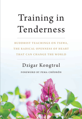 Training in Tenderness (Buddhist Teachings on Tsewa, the Radical Openness of Heart That Can Change the  World) by Dzigar Kongtrul, Pema Chodron, 9781611805581