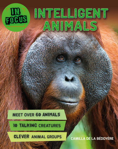 In Focus: Intelligent Animals by Camilla de la Bedoyere, 9780753473870