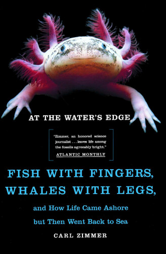 At the Water's Edge (Fish with Fingers, Whales with Legs, and How Life Came Ashore but Then Went Back to Sea) by Carl Zimmer, 9780684856230