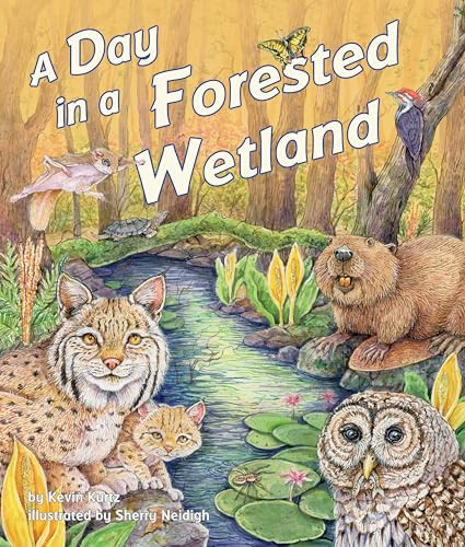 Day in a Forested Wetland, A by Kevin Kurtz, Sherry Neidigh, 9781628559132
