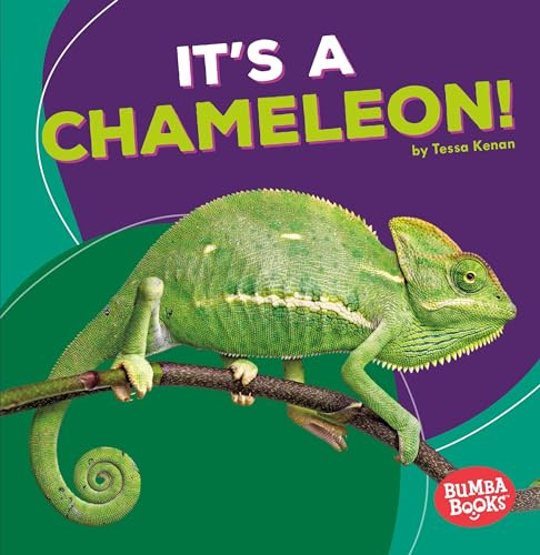 It's a Chameleon! - 9781512429329 by Tessa Kenan, 9781512429329