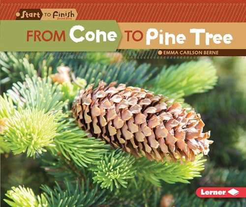From Cone to Pine Tree - 9781512456226 by Emma Carlson-Berne, 9781512456226