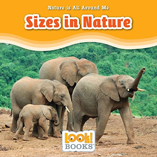 Sizes in Nature - 9781634403016 by Jennifer Marino Walters
