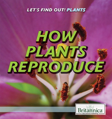 How Plants Reproduce by Judy Silverstein Gray, 9781538301944