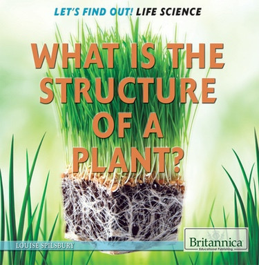 What Is the Structure of a Plant? by Louise Spilsbury, 9781622752546
