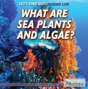 What Are Sea Plants and Algae? by Lynnae D. Steinberg, 9781508103936