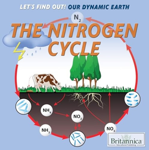 The Nitrogen Cycle by Bobi Martin, 9781680488265