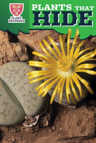 Plants That Hide by Devi Puri, 9781499421439
