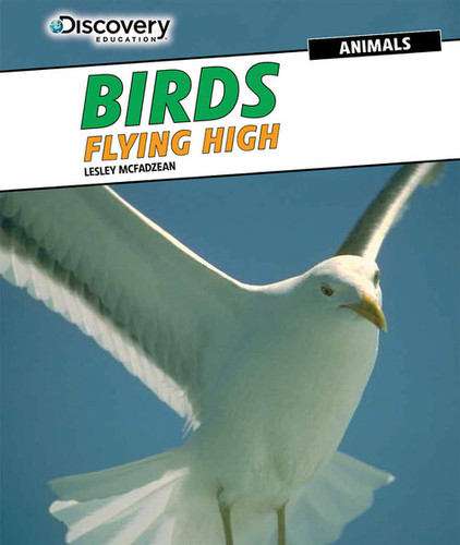 Birds: Flying High by Lesley McFadzean, 9781477769324