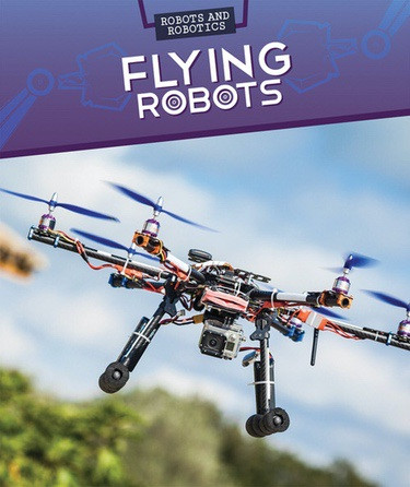 Flying Robots by Daniel R. Faust, 9781499421675