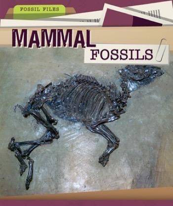 Mammal Fossils by Danielle Haynes, 9781499427431
