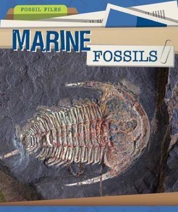 Marine Fossils by Heather Moore Niver, 9781499427424