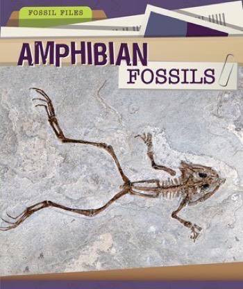 Amphibian Fossils by Mariel Bard, 9781499427202