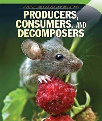 Producers, Consumers, and Decomposers by Dava Pressberg, 9781499426199