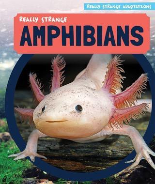 Really Strange Amphibians by Melissa Raé Shofner, 9781499427400