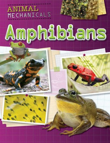 Amphibians - 9781508150275 by Tom Jackson