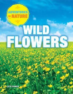 Wild Flowers by Jen Green, 9781508145943