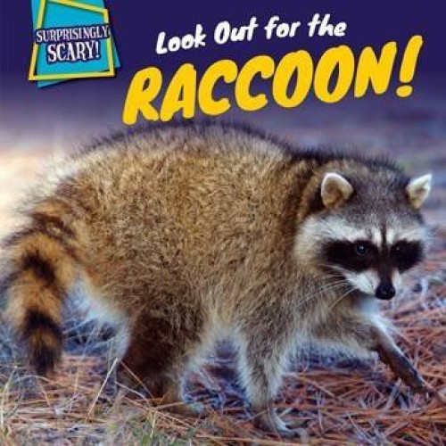 Look Out for the Raccoon! by Caitie McAneney, 9781499408829