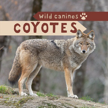 Coyotes by Harper Avett, 9781499420159