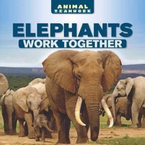 Elephants Work Together by Avery Adams, 9781508155539