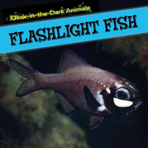 Flashlight Fish by Caitie McAneney, 9781499401219