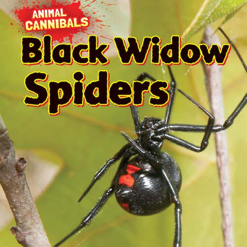 Black Widow Spiders - 9781477757482 by Sam Hesper, 9781477757482
