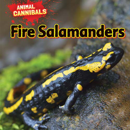 Fire Salamanders by Sam Hesper, 9781477757642