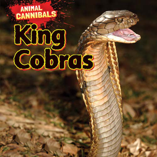 King Cobras by Sam Hesper, 9781477757666