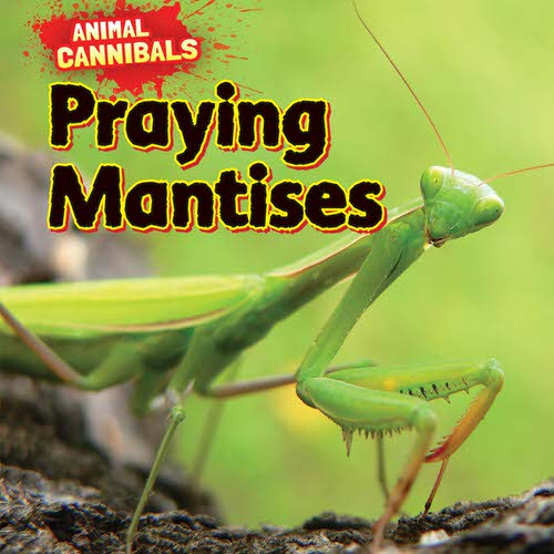 Praying Mantises by Sam Hesper, 9781477757734