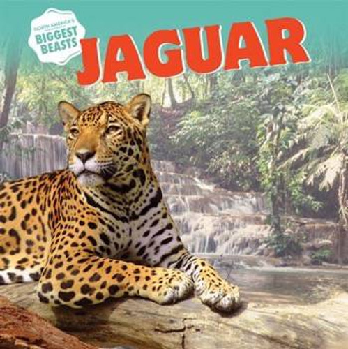 Jaguar - 9781508143031 by Elizabeth Morgan, 9781508143031