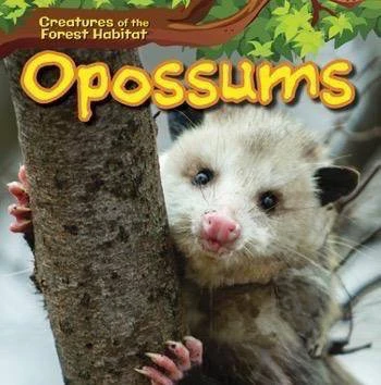 Opossums by Ada Quinlivan, 9781508152682