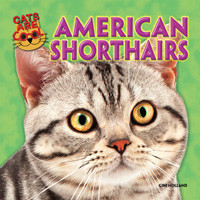 American Shorthairs by Gini Holland, 9781477713426