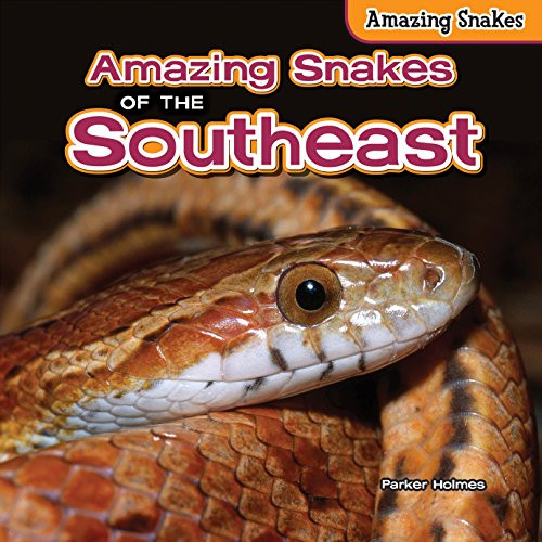 Amazing Snakes of the Southeast by Parker Holmes, 9781477764985