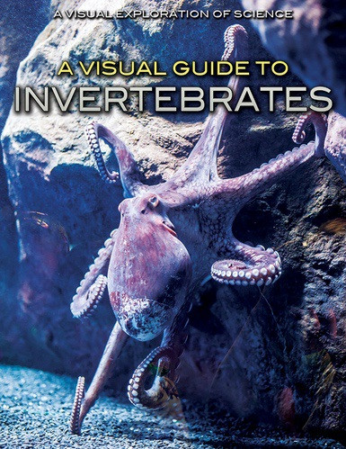 A Visual Guide to Invertebrates by Sol90 Editorial Staff, 9781508182375