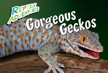Gorgeous Geckos by Rebecca Johnson, 9781508193630