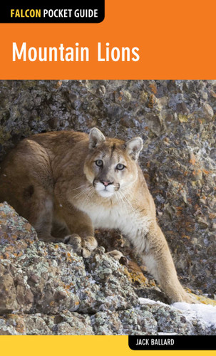 Mountain Lions - 9781493012558 by Jack Ballard, 9781493012558