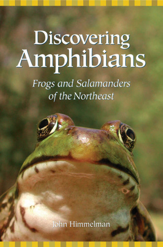 Discovering Amphibians (Frogs and Salamanders of the Northeast) by John Himmelman, 9780892727032