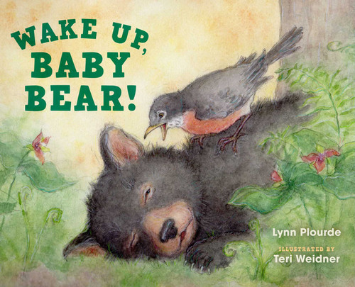 Wake Up, Baby Bear! by Lynn Plourde, Teri Weidner, 9781608939718