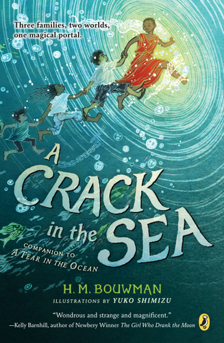 A Crack in the Sea - 9780399545214 by H. M. Bouwman, Yuko Shimizu, 9780399545214