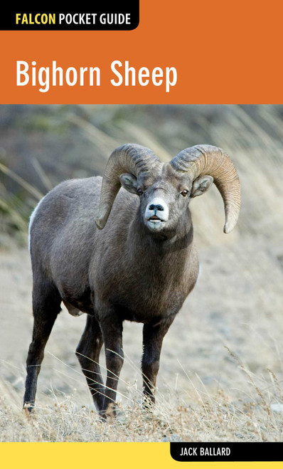 Bighorn Sheep - 9780762784912 by Jack Ballard, 9780762784912