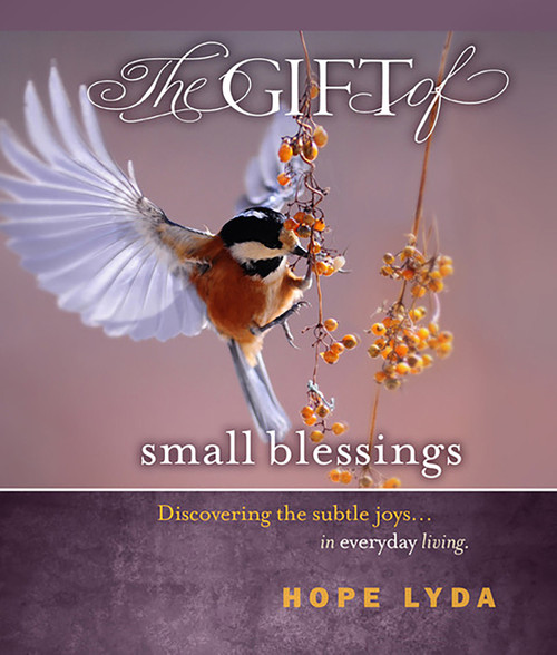 The Gift of Small Blessings by Hope Lyda, 9781944833534