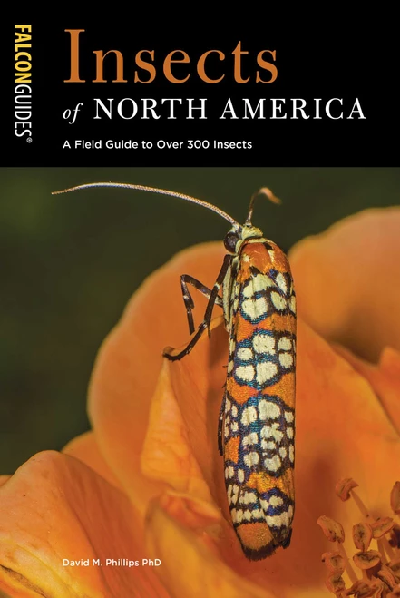 Insects of North America (A Field Guide to Over 300 Insects) by David M. Phillips, 9781493039234