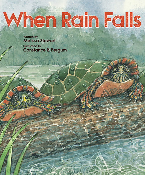 When Rain Falls - 9781682631003 by Melissa Stewart, Constance R. Bergum, 9781682631003