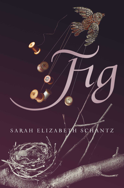 Fig by Sarah Elizabeth Schantz, 9781481423588